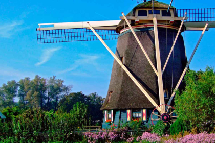 Amsterdam: Outing to Marken and Volendam (optional).