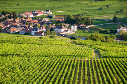 Beaune