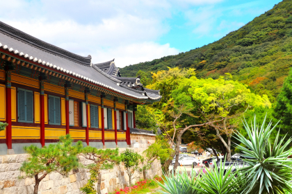 Busan