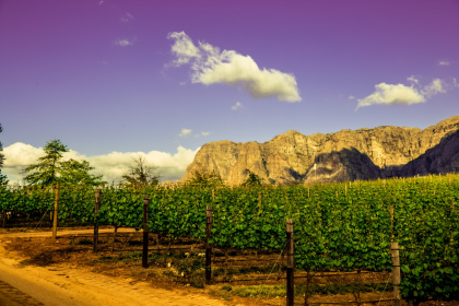 Cape Town