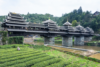 Tokio, Monte Fuji y China de Norte a Sur - Fin Hong Kong