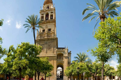 Cordoba: Courtyards filled with geraniums…..the Mosque-Cathedral…
