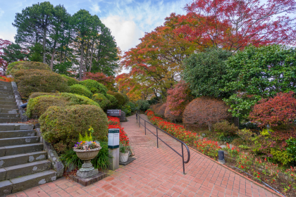 Tokio, Hakone y Monte Fuji