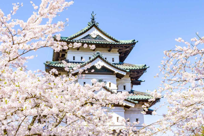 Hirosaki Castle located in a beautiful park where more than 2,500 cherry trees bloom in spring