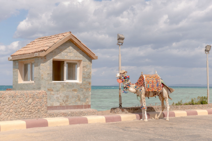 Cairo, Beauties of the Nile and Hurghada end Cairo