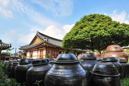 Corea, Tokio y Monte Fuji