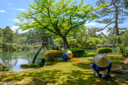 Japanese gardener near the Toro lantern in Kenrokuen, a Japanese garden in Kanazawa, Ishikawa prefecture, Japan.