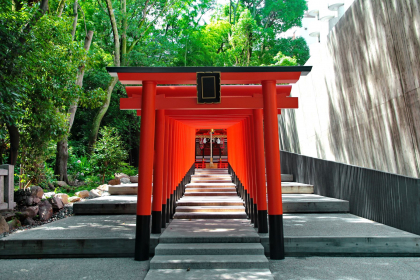 Japon Inolvidable 9N