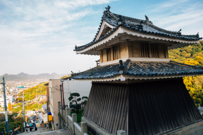 Japon Inolvidable 9N