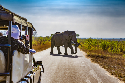 Kruger: One of the most famous natural parks in the world