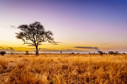 Kruger is one of the most famous natural parks in the world, one of the largest in southern Africa and one of the oldest parks on the African continent.