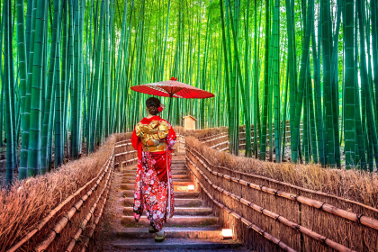 Enigmas de Japón y China