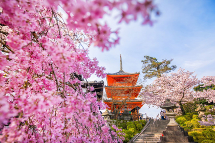 Centro y Norte de Japón Fin Sapporo