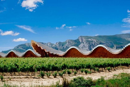 La Rioja: Entrance to winery and museum included.