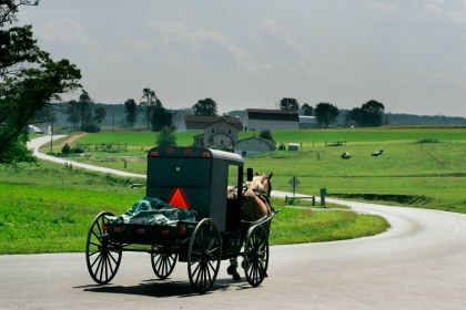 Lancaster: Discover how the Amish live by visiting a farm and seeing their 18th-customs.