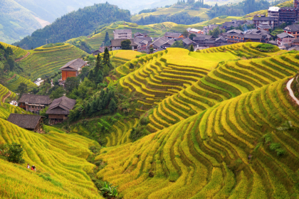 Longsheng: Lonji rice paddies, a World Heritage Site.