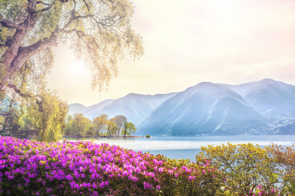 Italia y Paisajes de Suiza