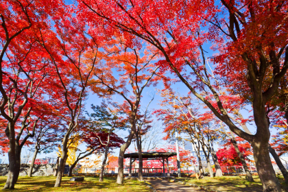Morioka