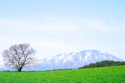 Morioka: The pleasant capital of the province of Iwate