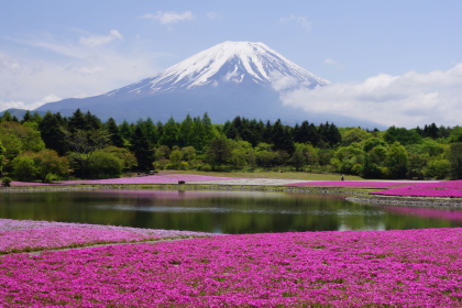 Mount Fuji