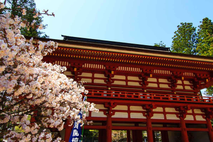 The sacred mountain of Koya, the most important center of Shingon Buddhism in Japan