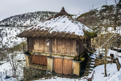 Cebreiro