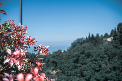 Rome, Complete Greece and Sicily