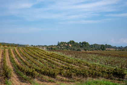 Comarca Del Penedes