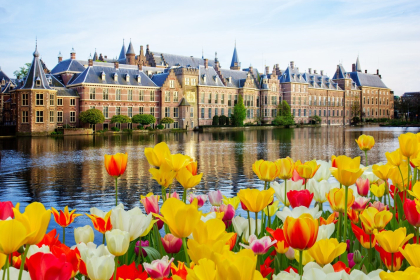 The Hague