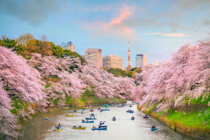 Tokyo