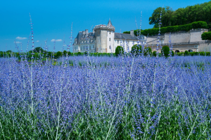 Villandry