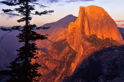 Yosemite: One of the largest and least fragmented habitat , has a great diversity of plants and animals